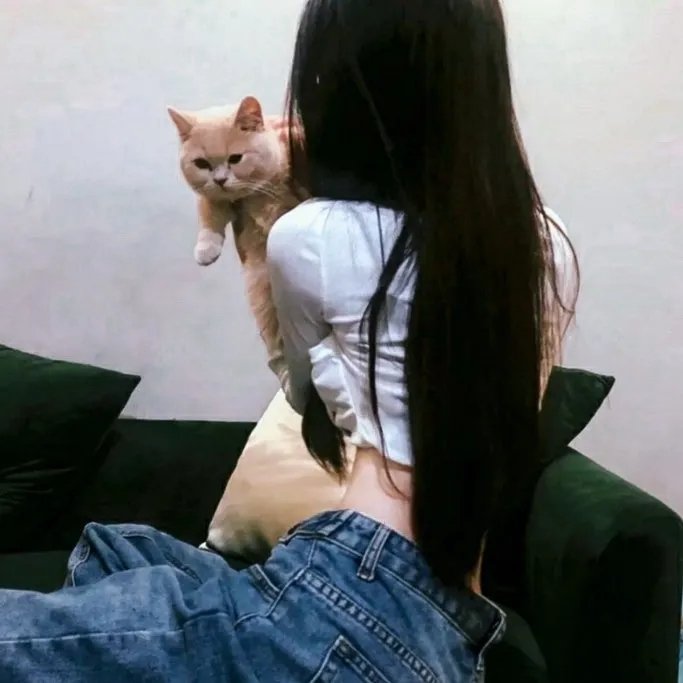 空想的机械们里破坏的发明
