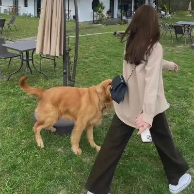 花儿与歌声